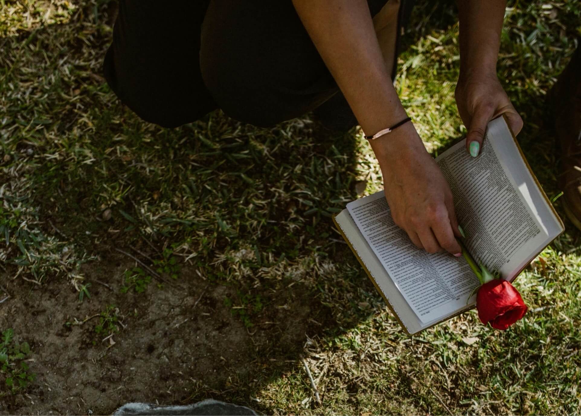 Person sitting on grass with an open book and a single red rose